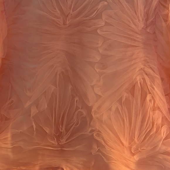 ZARA | Sheer organza cropped blouse - Picture 5 of 6